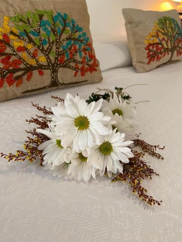 248930859 Casa Hridaya Hotel Boutique