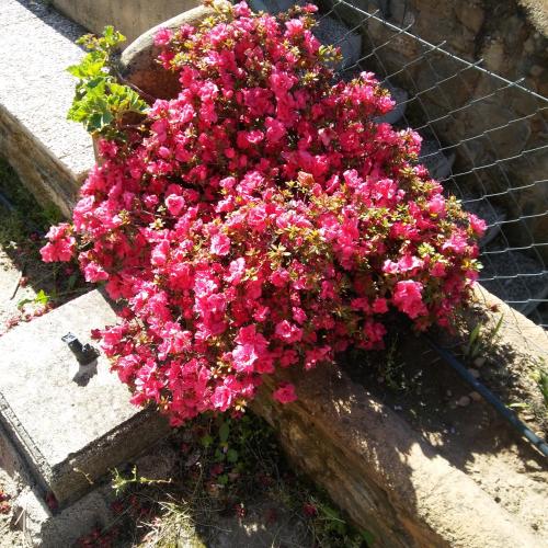 La Cabaña Romantica de Llano