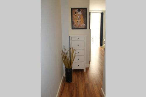 Bonito apartamento Cadiz centro