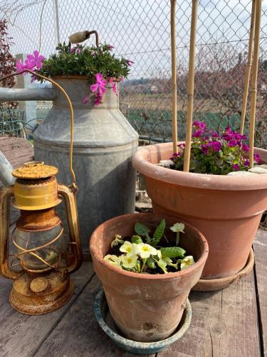 B&b Oca Carolina – Buttigliera Alta, NY