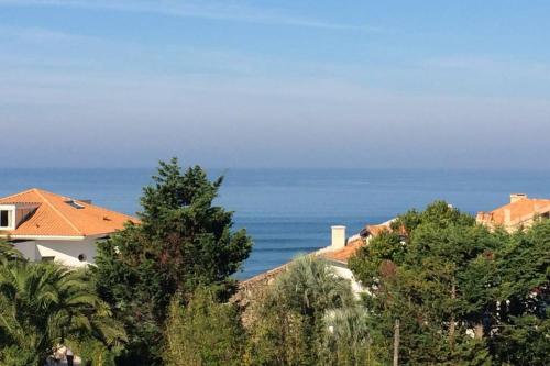 L' Ocean et les plages, tout a pied - Location saisonnière - Anglet