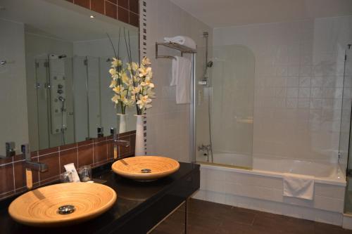 Hotel Spa Odeon - 화장실