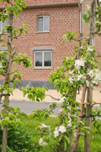 B&B De Fruithoeve