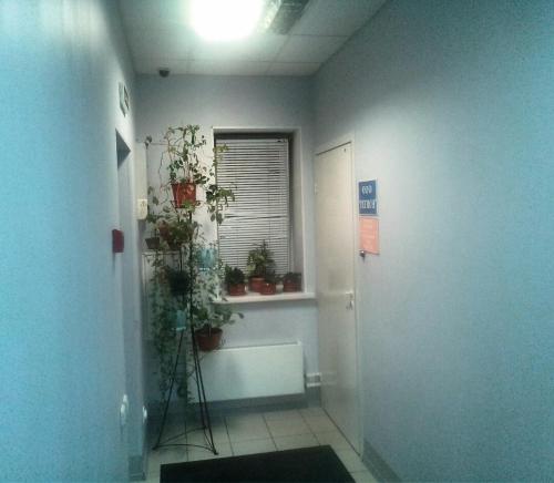 Inn Region - image 4