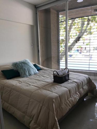 Departamento Zona Norte in 사르미엔토