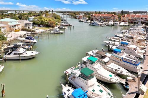 Bay Front Oasis