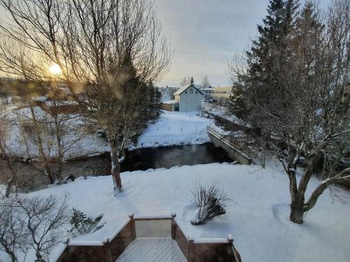 Omgivelser, Arbol Guesthouse in Húsavík sentrum