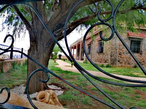 Tamanoucht, Ifrane (fotografie 4)