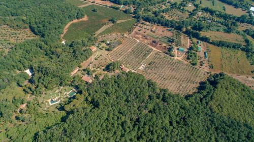 La Cerreta - Terme di Sassetta