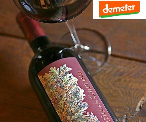 La Cerreta - Terme di Sassetta