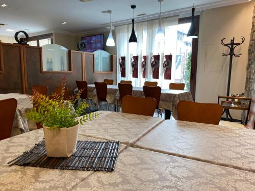 Restorāns, Hostal Bonavista in Cervera (Catalonia)
