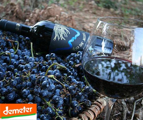 La Cerreta - Terme di Sassetta