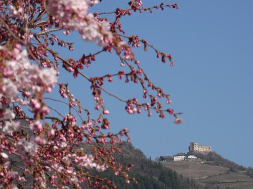 Sir Thomas Bed&More chambre d'hôte Bolzano