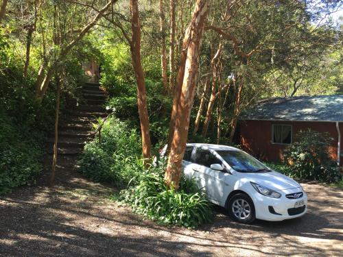 Cabañas el Bosque Patagónico