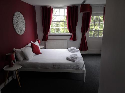 The Red Lion - image 13