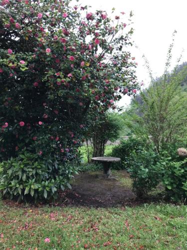 “La Casa del Guarda”