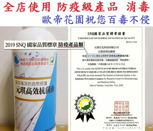 Audi Garden Business Hotel20