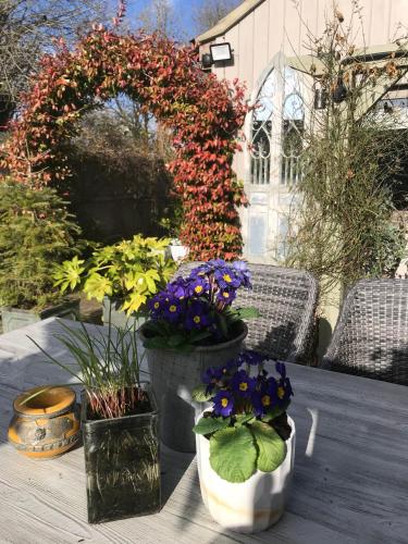 Garden Retreat Sleeps 3 Self Contained With Kitchenette & Lounge, Ketton, Rutland