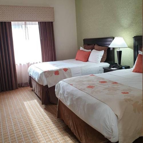 2 queen beds, 1 sofa bed
