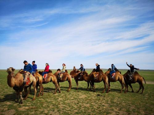 Vast Mongolia Tour & Hostel