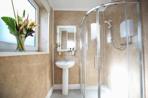The Seacliffe - Whitby - image 5