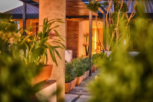 정원, Hotel Casa Iturbe in 시타쿠아로