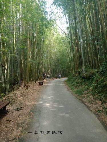 瑞里民宿‧山間茶墅民宿