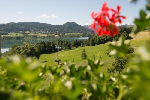 Hotel Seehof