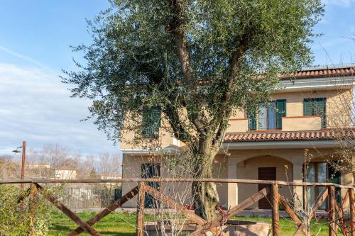  La Merlana affittacamere, Pension in Morrovalle bei Monte San Giusto