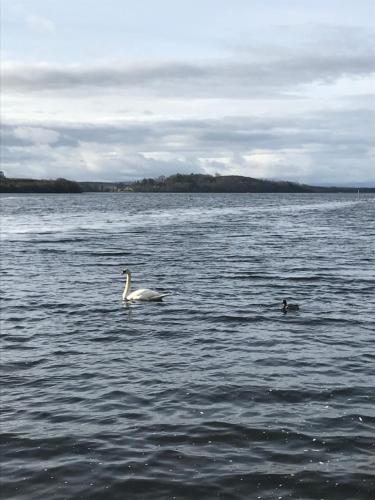 View, Ros Dun House in Donegal