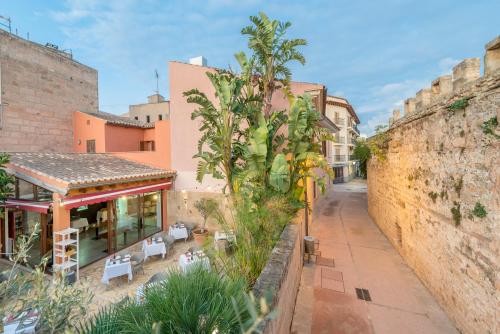 สภาพแวดล้อมโดยรอบ, Alcudia Petit - Turismo de Interior in อัลกูเดีย
