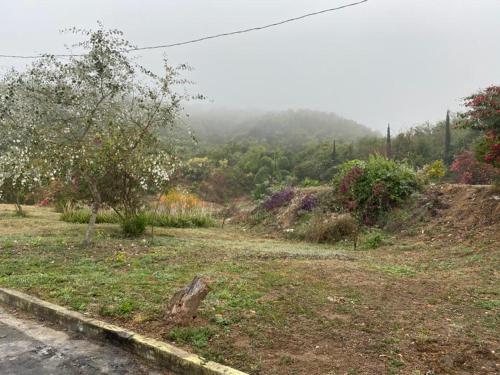 La Casa del Cerro