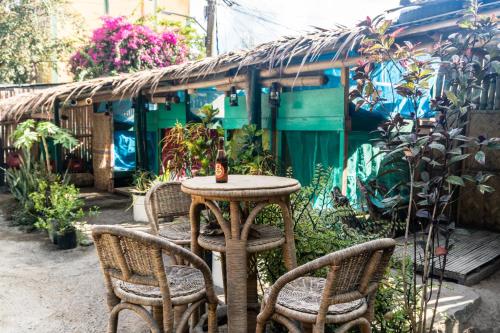 Bamboo Billabong Hostel
