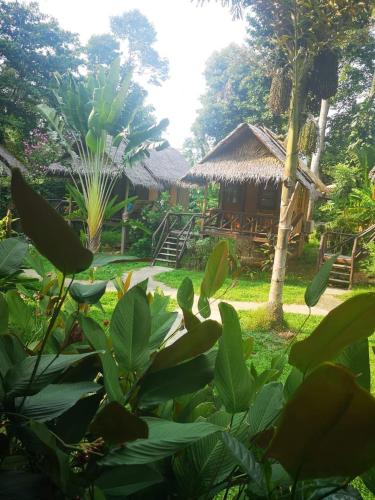 Jungle Garden
