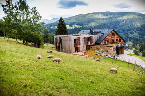 Amenity Resort Spindleruv Mlyn