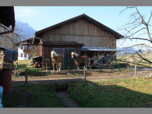 Bachbauernhof - image 5