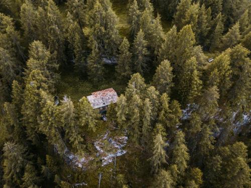 Nationalpark Lodge Grossglockner - image 7