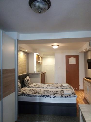 Chmielna 5 Rooms & Apartments, Варшава (фото 5)