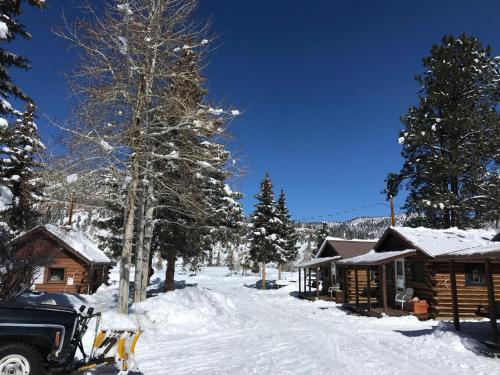 Grandview Cabins & RV Resort - image 3