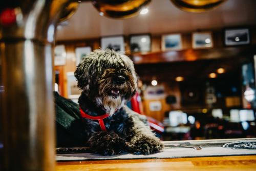 Seafield Arms Hotel - image 14