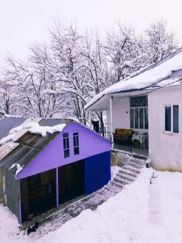 Viesnīcas āriene, Shorena's Homestay in Bagvdanari