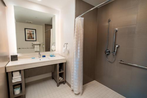 King Room With Roll-In Shower - Disablity Access