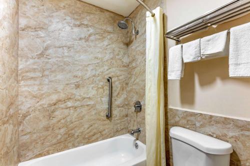 Econo Lodge Kosciusko - image 7