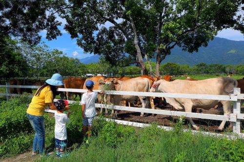 Chinshang Pastoral Farm Resort