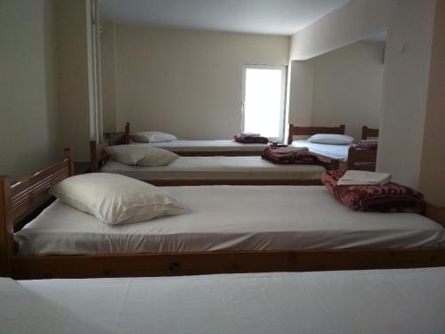 Pella Inn Hostel - image 2