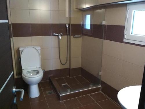 Pella Inn Hostel - image 7