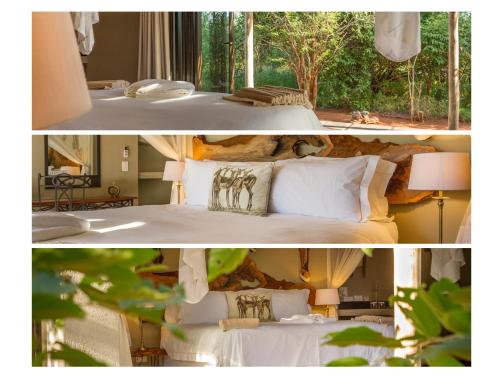 249727547 Ukuthula Bush Lodge