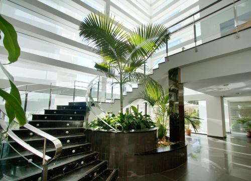 Garbí Costa Luz - image 7