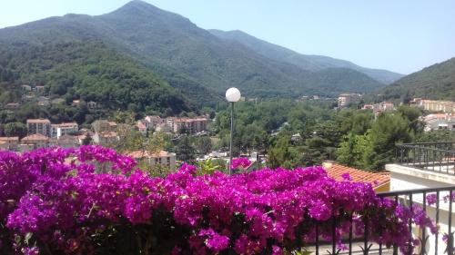 T3 au calme au 2ème étage sans ascenseur avec vue sur les montagnes - Apartment - Amélie-les-Bains-Palalda