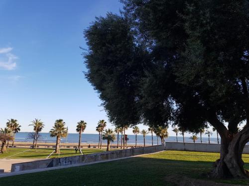 Godall Playa, Sant Carles de la Rapita